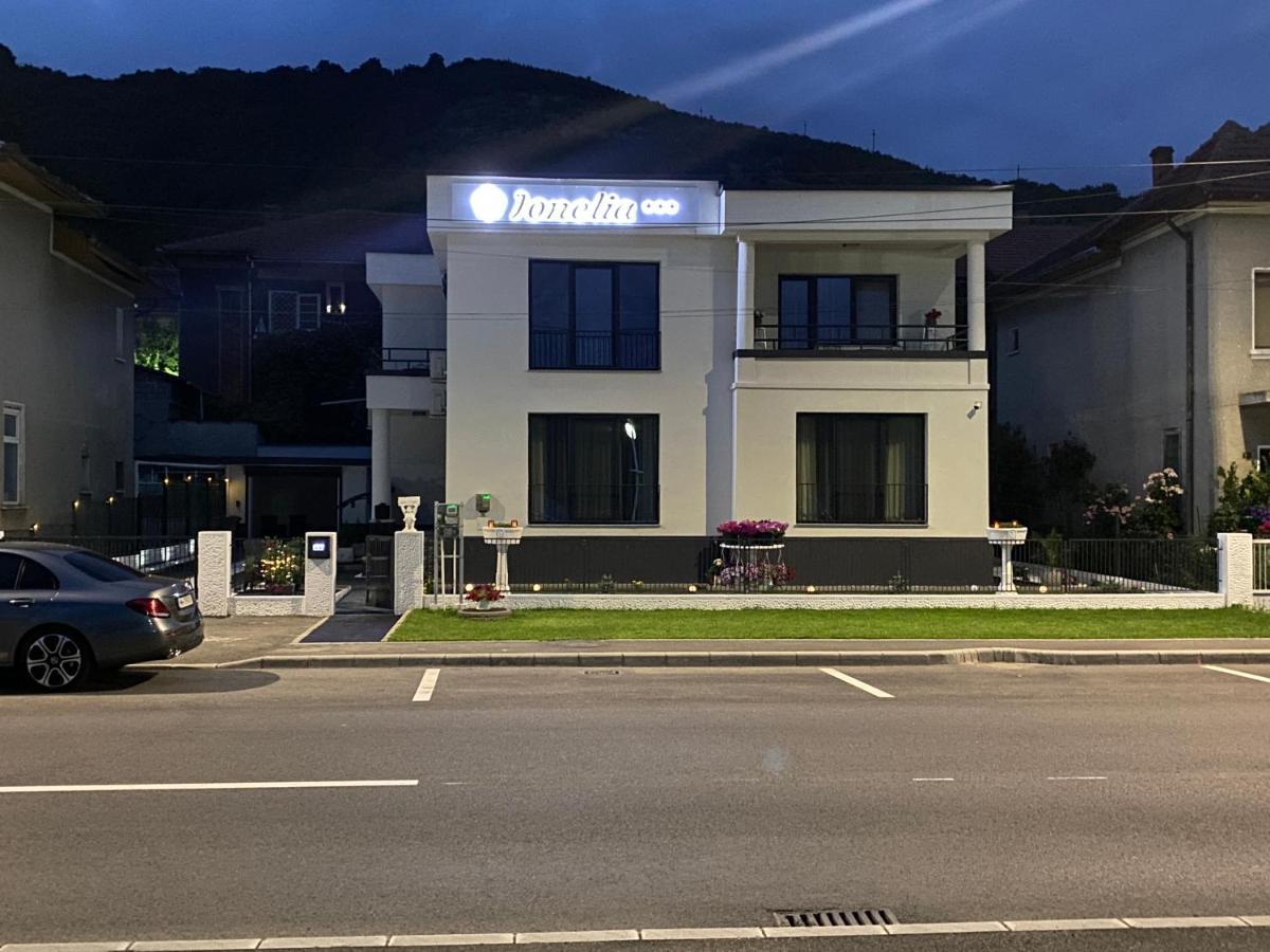Pensiunea Ionelia Orşova Εξωτερικό φωτογραφία